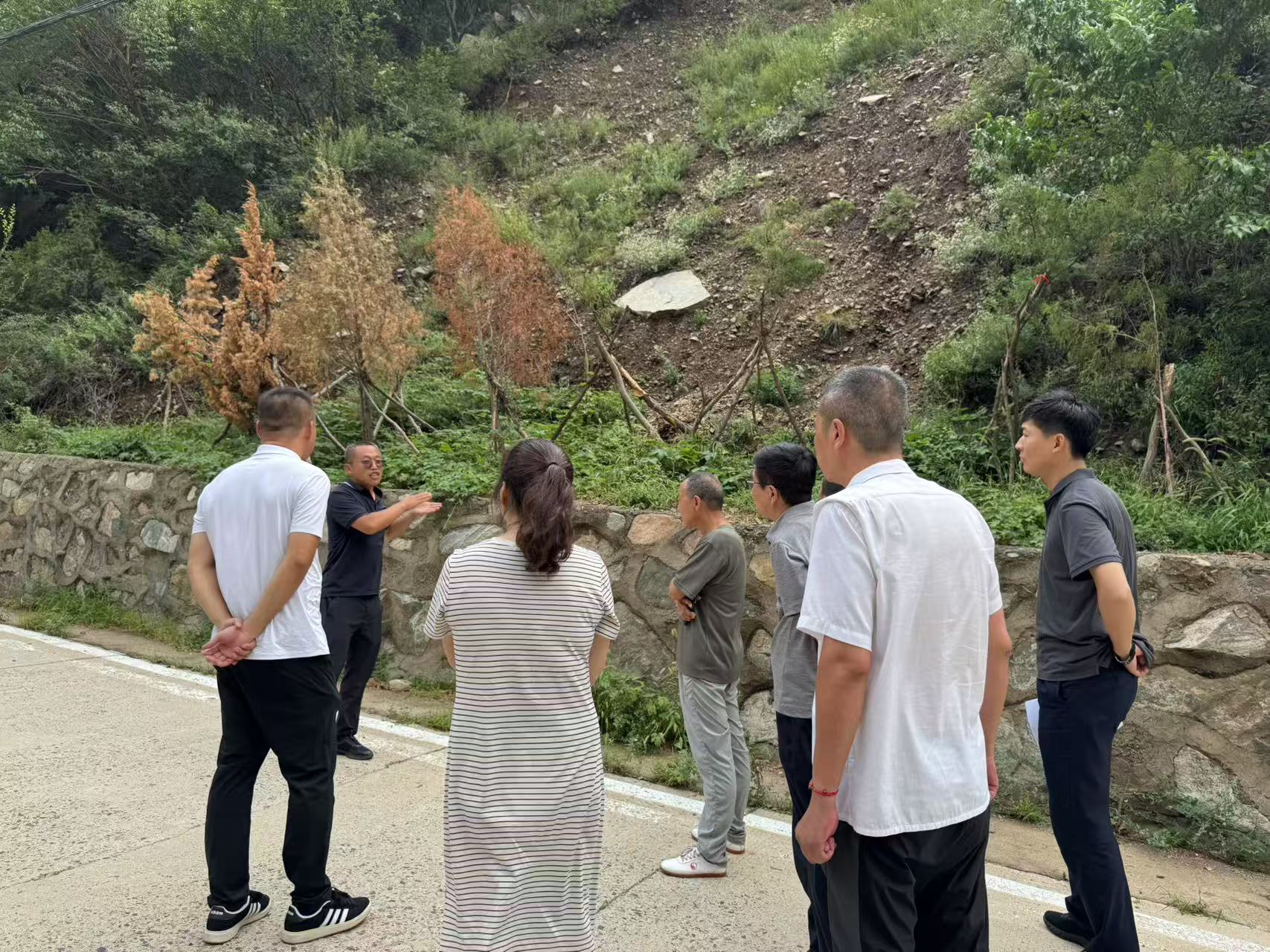 1754465654728649.jpg 1754465654728649.jpg